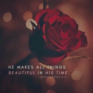 He maketh all things beautiful 